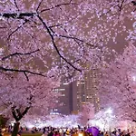 5Mins From Jr Kinshicho! Near Asakusa&Skytree!