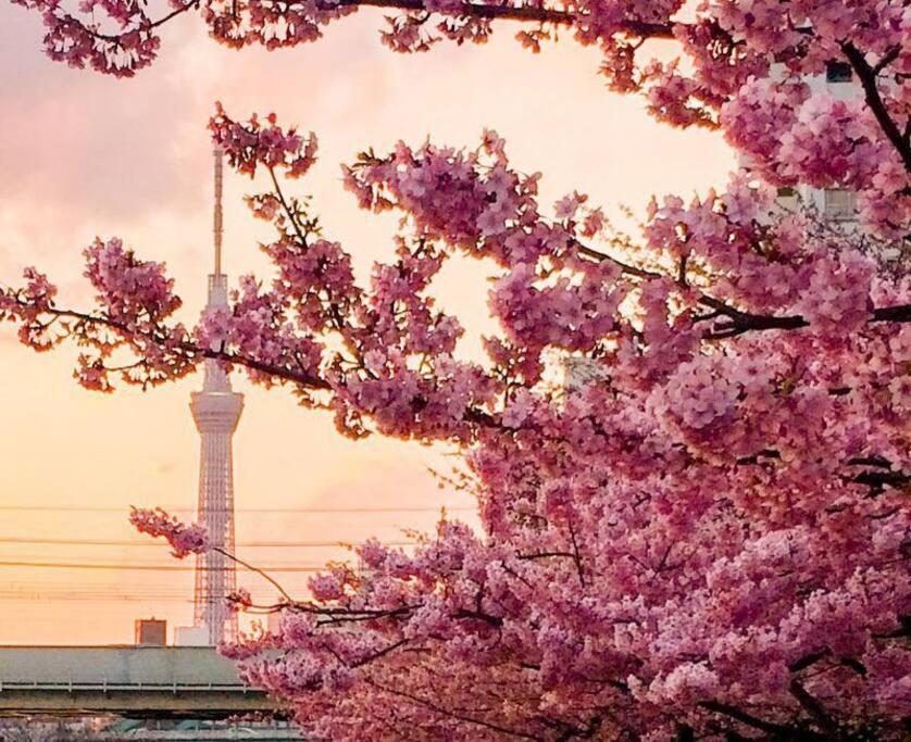 5mins From Jr Kinshicho! Near Asakusa&skytree! Appartamento *